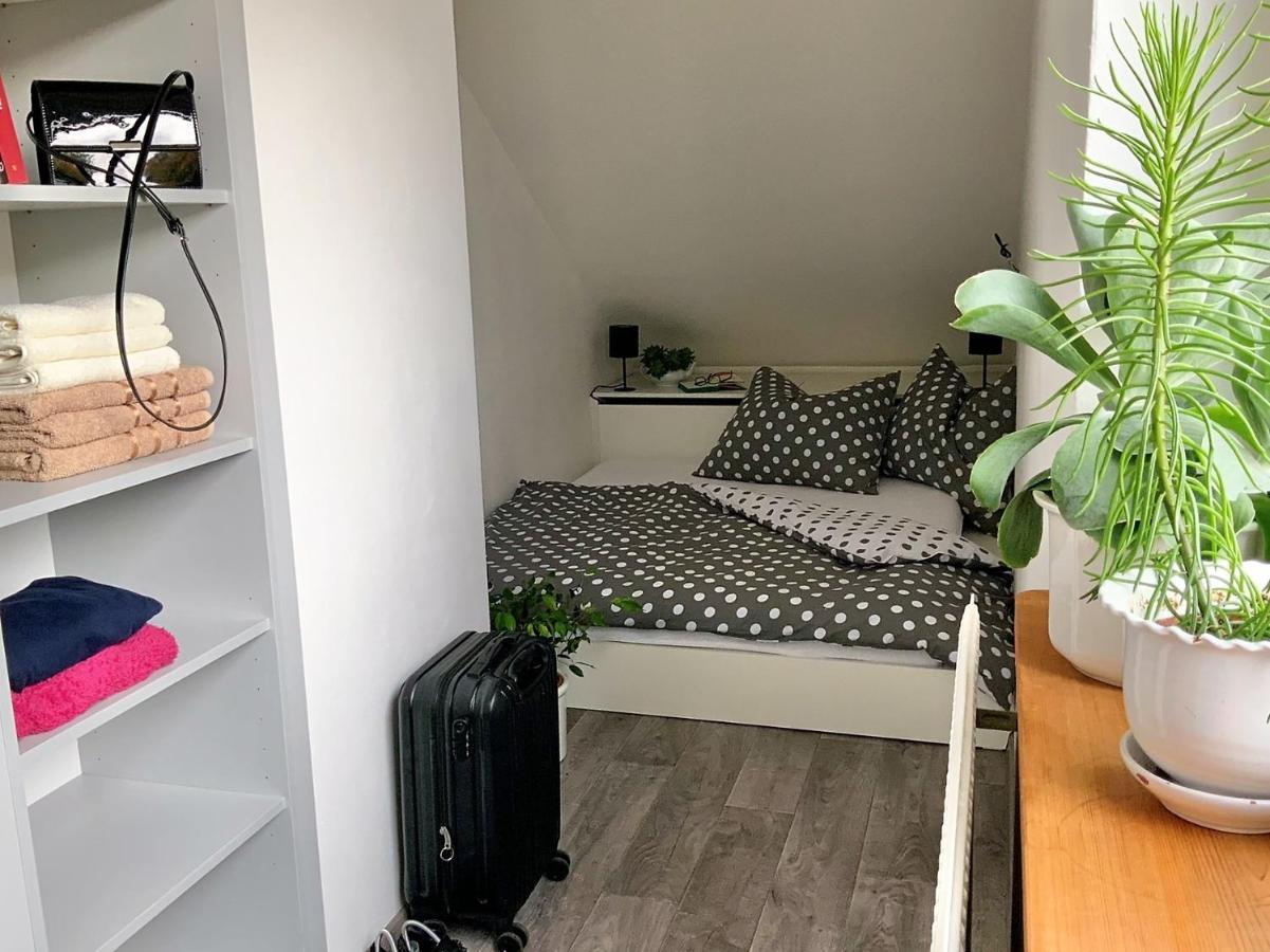 Apartman V Podkrovi Hostinné Esterno foto
